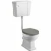 Hudson Reed Richmond 480mm Height Low Level Toilet & Storm Grey Seat