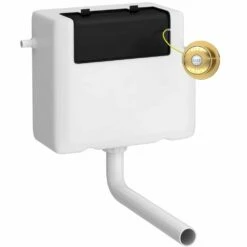 Hudson Reed Universal Access Toilet Cistern &Brushed Brass Flush Plate - XTY8T03