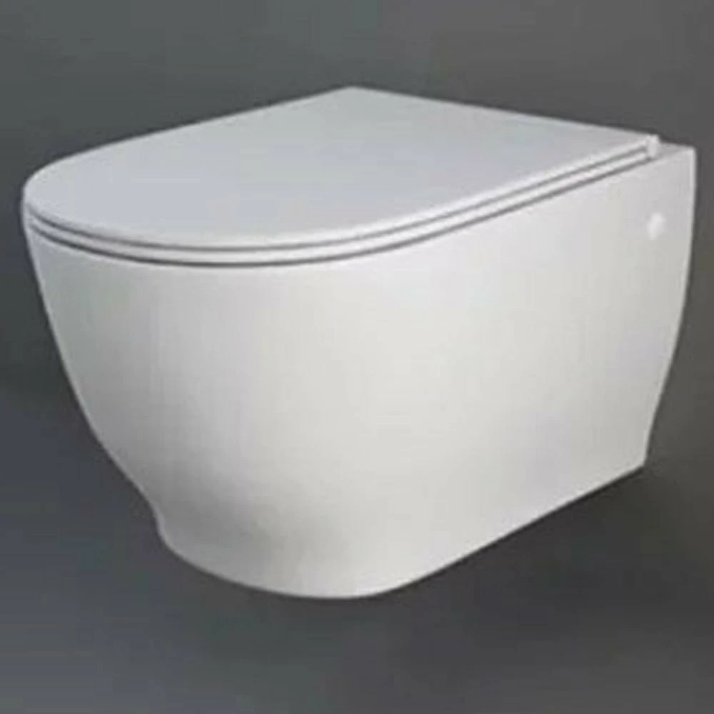 RAK Moon Alpine White Wall Hung Toilet Pan & Soft Close Seat - HARWHPAN/SC 1 RAK Moon Alpine White Wall Hung Toilet Pan & Soft Close Seat - HARWHPAN/SC