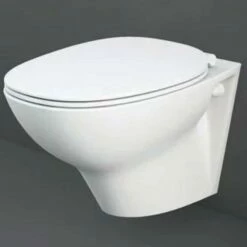 RAK Morning Rimless Wall Hung Pan & Exposed Fitting And Soft Close Seat